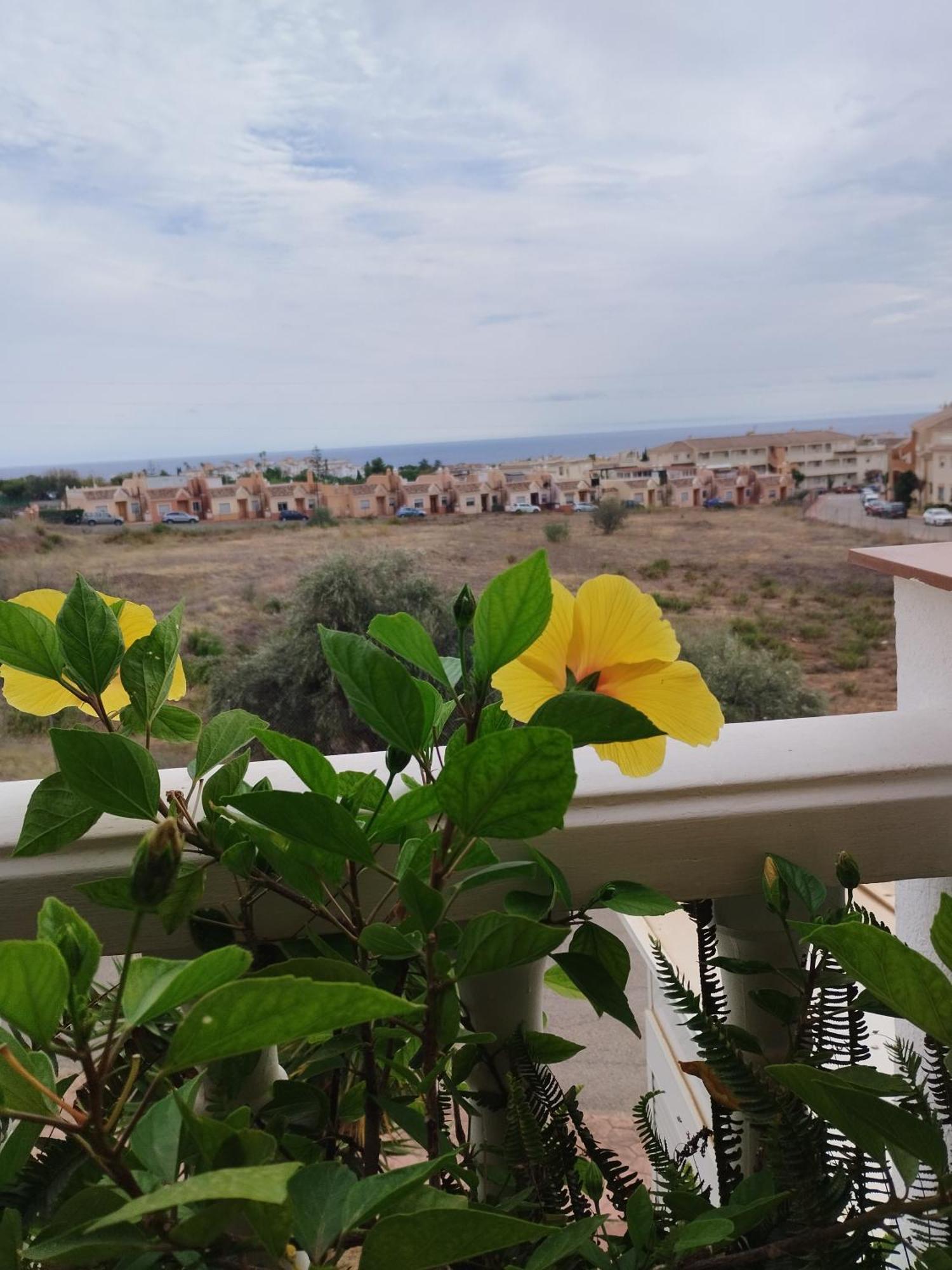 Casa Carino Apartment Torrox Luaran gambar
